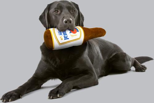 Show full view: Natural Light Plush Bottle Dog Toy, 18-in slide 4 of 7