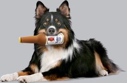 Natural Light Latex Bottle Dog Toy, 9.5-in slide 2 of 6