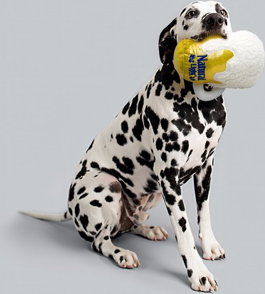 Show full view: Natural Light Plush Mug Dog Toy slide 4 of 6