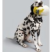Show in main carousel: Natural Light Plush Mug Dog Toy slide 4 of 6