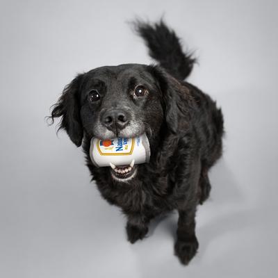 Show full view: Natural Light Tough Can TPR Dog Toy slide 4 of 7