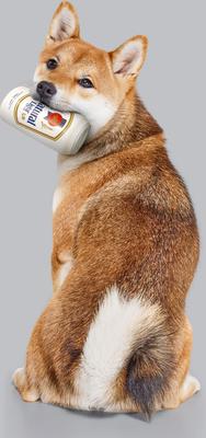 Show full view: Natural Light Latex Can Dog Toy slide 4 of 6