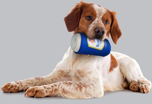 Show full view: Natural Light Latex Can Printed Koozie Dog Toy slide 4 of 6