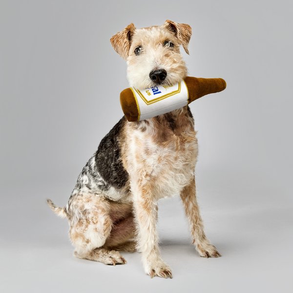Show full view: Natural Light Plush Bottle Dog Toy, 10-in slide 4 of 6