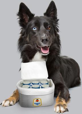 Show full view: Natural Light Printed Plush Cooler Latex Solid Six Pack Dog Toy slide 4 of 7