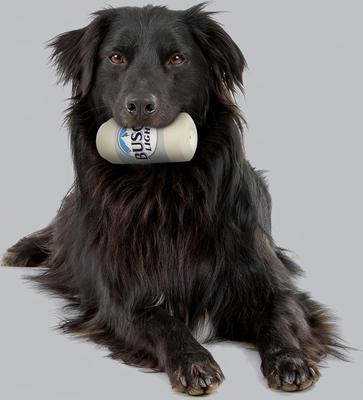 Show full view: Busch Light Latex Can Dog Toy slide 5 of 7