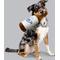 Show in main carousel: Busch Light Plush Bottle Dog Toy, 10-in slide 5 of 8