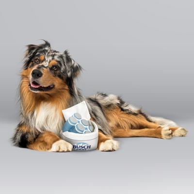 Show full view: Busch Light Printed Plush Cooler Latex Solid Six Pack Dog Toy slide 4 of 7