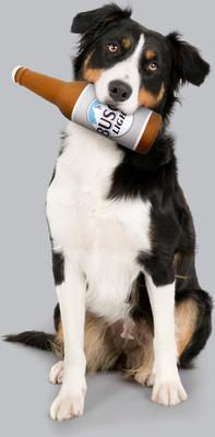 Show full view: Busch Light Latex Bottle Dog Toy, 9.5-in slide 5 of 8