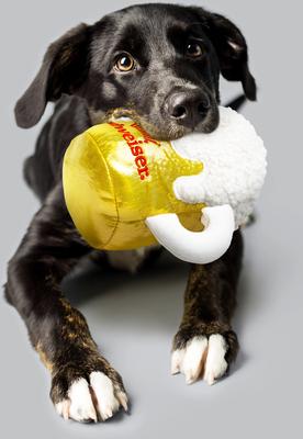 Show full view: Budweiser Plush Mug Dog Toy slide 4 of 6