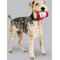 Show in main carousel: Budweiser Latex Can Printed Koozie Dog Toy slide 4 of 6