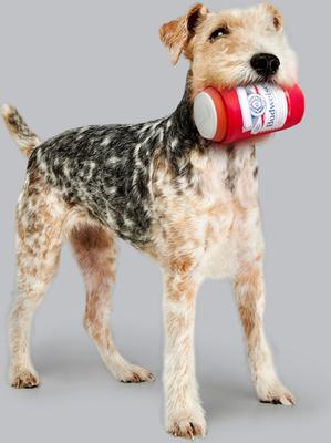 Show full view: Budweiser Latex Can Printed Koozie Dog Toy slide 4 of 6