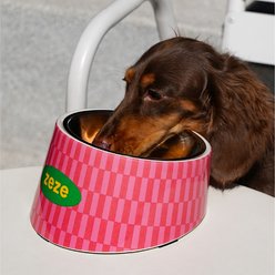 ZEZE Retro Sweetheart Metal Dog Bowl, 3-cup