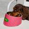 Show in main carousel: ZEZE Retro Sweetheart Metal Dog Bowl, 3-cup slide 1 of 5