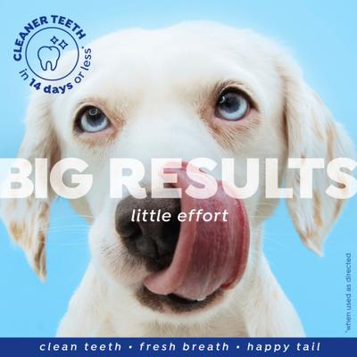 Show full view: Naturel Promise Fresh Dental Dental Water Additive for Dogs, 16-fl oz bottle slide 6 of 10