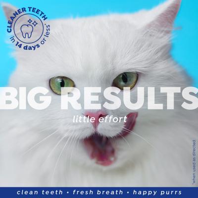 Show full view: Naturel Promise Fresh Dental Water Additive for Cats, 18-fl oz bottle slide 6 of 10