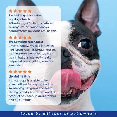 Show full view: Naturel Promise Fresh Dental Oral Care Water Additive Plus Skin & Coat for Pets, 18-fl oz bottle slide 9 of 10