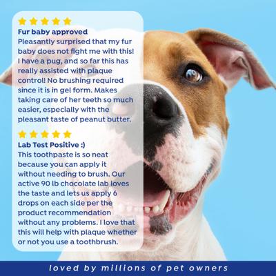 Show full view: Naturel Promise Fresh Dental Peanut Butter Honey Gel, 4-oz jar slide 10 of 10