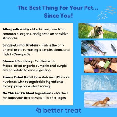Show full view: A Better Treat Allergy Friendly Ocean Blend Freeze-Dried Raw Dog Food, 12-lb bag slide 4 of 8