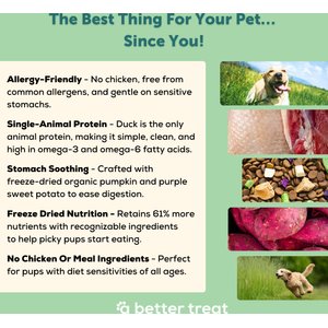 A Better Treat Allergy Friendly Duck Freeze-Dried Raw Dog Food, 3-lb bag