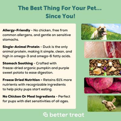 Show full view: A Better Treat Allergy Friendly Duck Freeze-Dried Raw Dog Food, 3-lb bag slide 4 of 8