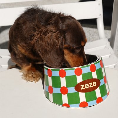 ZEZE ZEZE Striped & Polka Dot Metal Dog Bowl, 3-cup