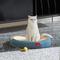 Show in main carousel: ZEZE 3.5-in Denim Cat Scratcher Bed with Toy slide 5 of 9