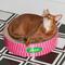 Show in main carousel: ZEZE Retro Sweetheart 3.9-in Cardboard Paper Cat Toy Scratcher slide 1 of 10