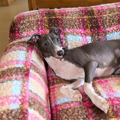 Show full view: ZEZE Vintage Plaid Pink Plus Furniture Style Dog & Cat Sofa Bed with Removable Cover slide 5 of 10