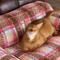 Show in main carousel: ZEZE Vintage Plaid Pink Plus Furniture Style Dog & Cat Sofa Bed with Removable Cover slide 9 of 10