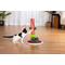 Show in main carousel: Prevue Pet Products Elf Leg Cat Scratcher, Red/White/Greens Accent Colors slide 4 of 7