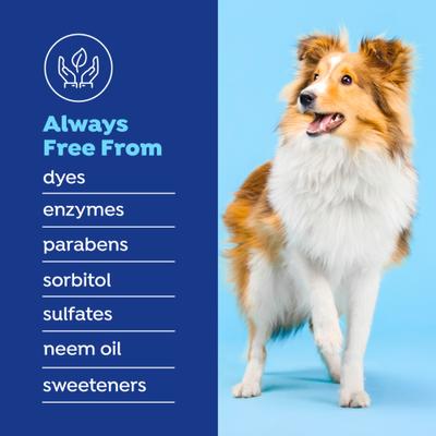 Show full view: Naturel Promise Fresh Dental Dental Water Additive for Dogs, 16-fl oz bottle slide 7 of 10