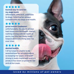 Naturel Promise Fresh Dental Dental Water Additive for Dogs, 16-fl oz bottle