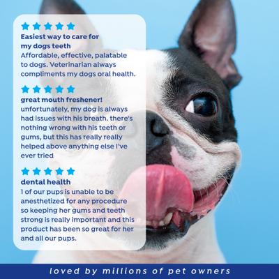 Show full view: Naturel Promise Fresh Dental Dental Water Additive for Dogs, 16-fl oz bottle slide 9 of 10