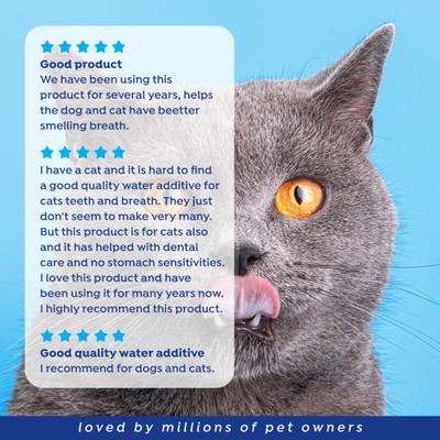 Show full view: Naturel Promise Fresh Dental Water Additive for Cats, 18-fl oz bottle slide 9 of 10