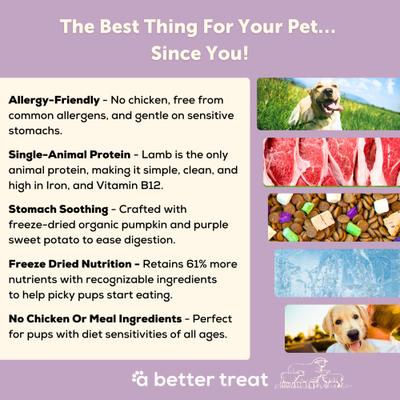 Show full view: A Better Treat Allergy Friendly Lamb Freeze-Dried Raw Dog Food, 3-lb bag slide 4 of 8