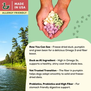 A Better Treat Allergy Friendly Duck Freeze-Dried Raw Dog Food, 3-lb bag