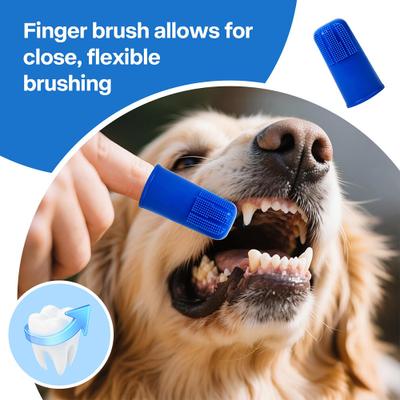 Show full view: allforpaws Sparkle Dog Dental Care Combo Pack slide 4 of 9