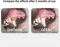 allforpaws Sparkle Dog Oral Care Kit slide 2 of 8