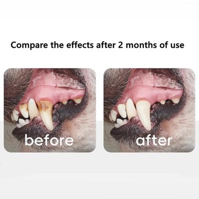 Show full view: allforpaws Sparkle Dog Oral Care Kit slide 7 of 9