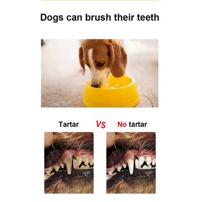 Show full view: allforpaws Sparkle Dog Dental Water Additive, 16-fl oz slide 5 of 7