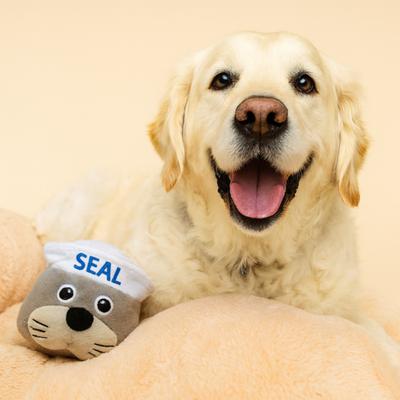 Show full view: SteelDog USA Ruffian Hero Military Seal Tough Stuffing-Free Dog Plush Toy, Tan slide 2 of 5