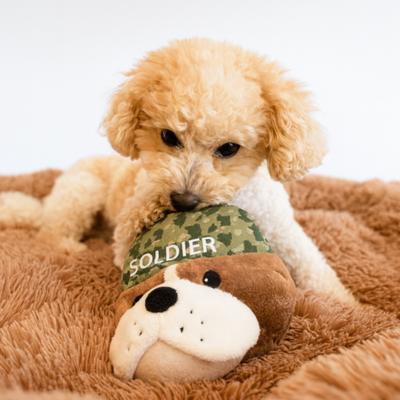 Show full view: SteelDog USA Ruffian Hero Military Soldier Tough Squeaky Dog Plush Toy, Tan slide 2 of 5