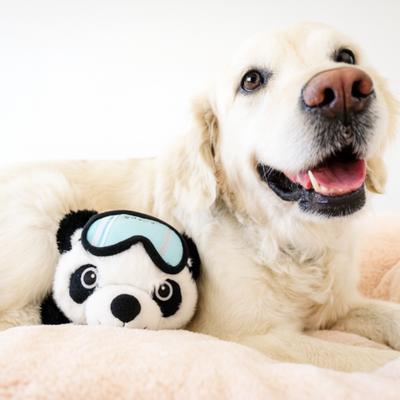 Show full view: SteelDog USA Ruffian Hero Ski Patrol Tough Squeaky Dog Plush Toy, White slide 3 of 6