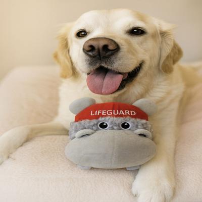 Show full view: SteelDog USA Ruffian Hero Lifeguard Tough Squeaky Dog Plush Toy, Grey slide 2 of 5