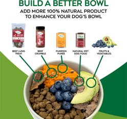 Nature’s Logic Pure Naturals 100% Natural Sardine Recipe Synthetic-Free Dry Dog Food, 12-lb bag slide 2 of 8