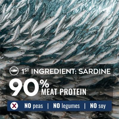 Show full view: Nature’s Logic Pure Naturals 100% Natural Sardine Recipe Synthetic-Free Dry Dog Food, 12-lb bag slide 3 of 10