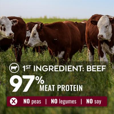 Show full view: Nature’s Logic Pure Naturals 100% Natural Grain-Free Beef Recipe Synthetic-Free Dry Dog Food, 24-lb bag slide 3 of 10