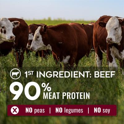 Show full view: Nature’s Logic Pure Naturals 100% Natural Beef Recipe Synthetic-Free Dry Dog Food, 24-lb bag slide 3 of 10