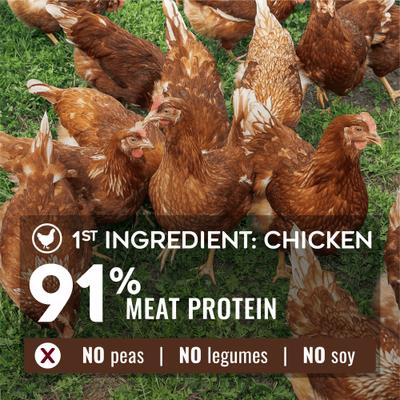 Show full view: Nature’s Logic Pure Naturals 100% Natural Chicken Recipe Synthetic-Free Dry Dog Food, 12-lb bag slide 3 of 10